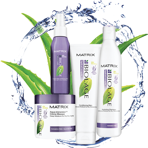 Beautiful Hair, Healthy You - Productos Biolage De Matrix (477x485), Png Download