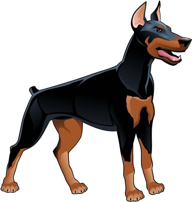 Hund Animal Illustrations, Animal Drawings, Doberman - Cartoon Doberman (761x800), Png Download