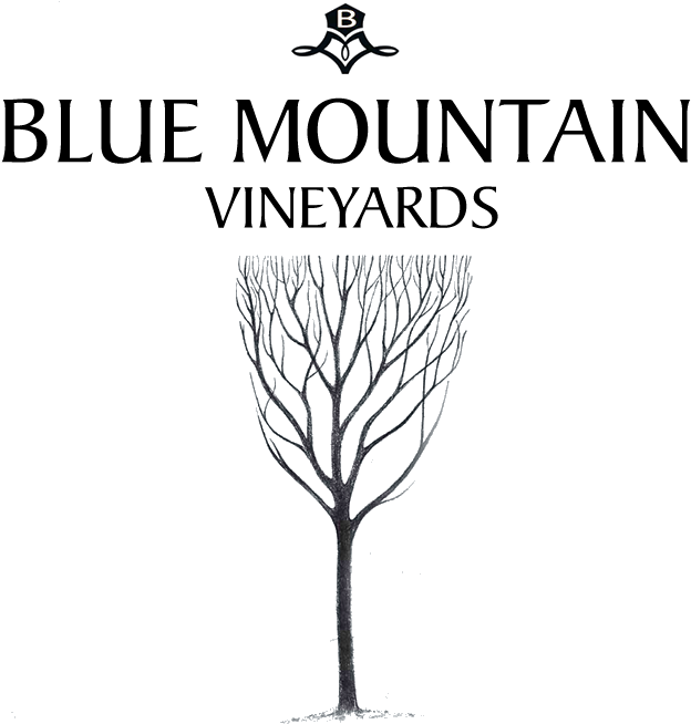 Blue Mountain Vineyards Colorado (643x658), Png Download