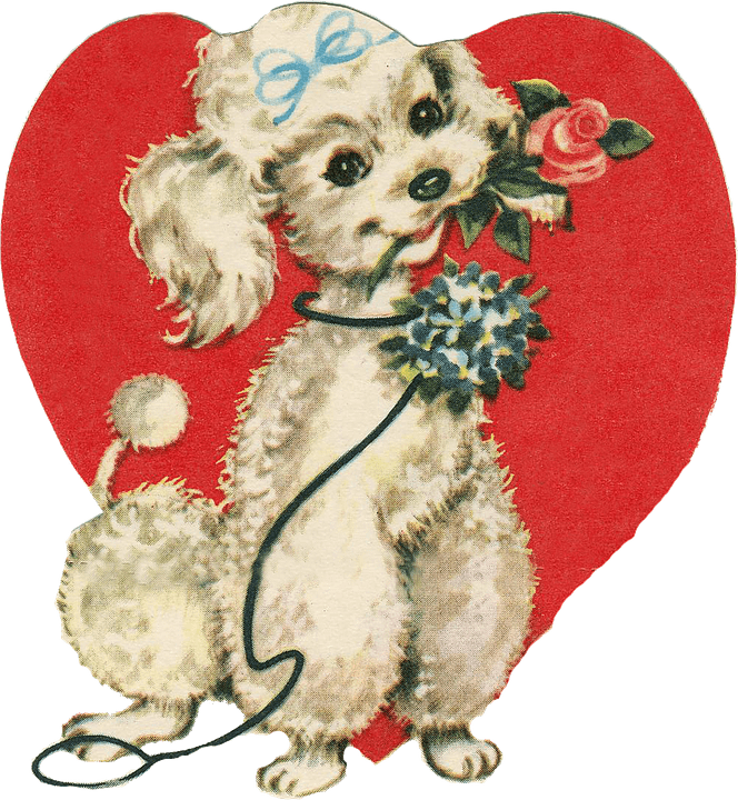 Cute Little Dog Holding A Rose Png - Süßer Welpe Mit Der Rose, Malend Notizblock (664x720), Png Download
