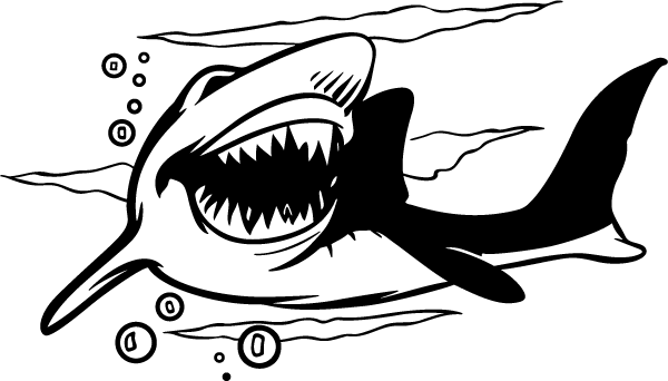 Personalized Custom Engraved Shark Stainless Steel (600x342), Png Download