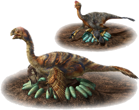 How Does A One-ton Dino Hatch Its Eggs Carefully - Incubation Behaviours Of Oviraptorosaur Dinosaurs In (670x395), Png Download