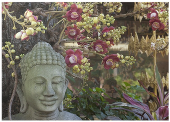 Buda Poster • Pixers® • We Live To Change - Buddhas Welt 2019 (400x400), Png Download