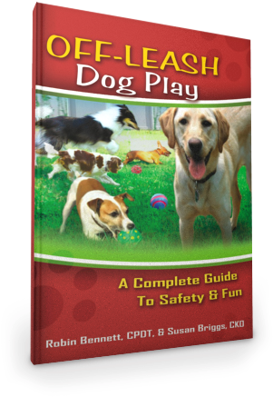 Off-leash Dog Play - Off-leash Dog Play By Robin Bennett (373x450), Png Download