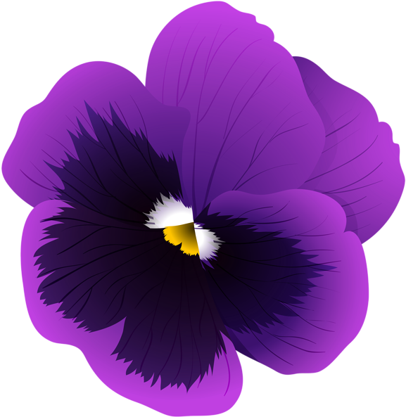 Violet Flower Transparent Png Clip Art Image - Portable Network Graphics (582x600), Png Download