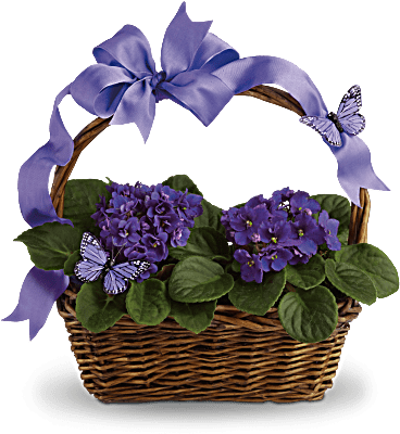 Violets And Butterflies - Violets And Butterflies Teleflora (368x460), Png Download