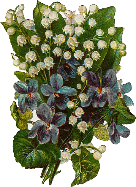 Vintage Violets And Lily's Of The Valley Bouquet Free (485x651), Png Download