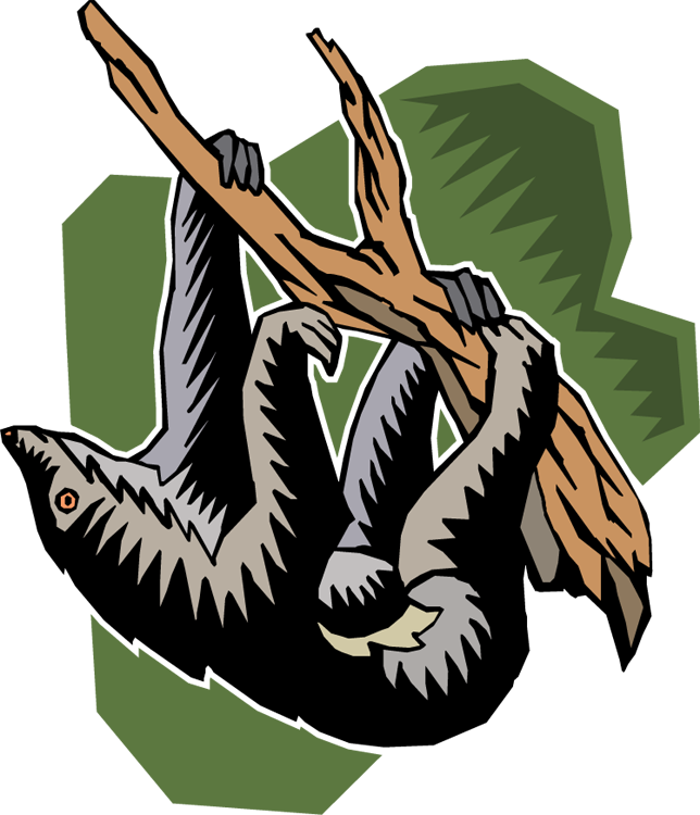 Free Sloth Clipart - Costa Rica-trägheit, Die Vom Baum Pura Vida Hängt Bicycle (644x750), Png Download