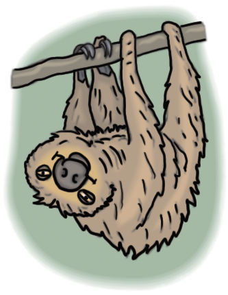 Sloth - Illustration (332x480), Png Download