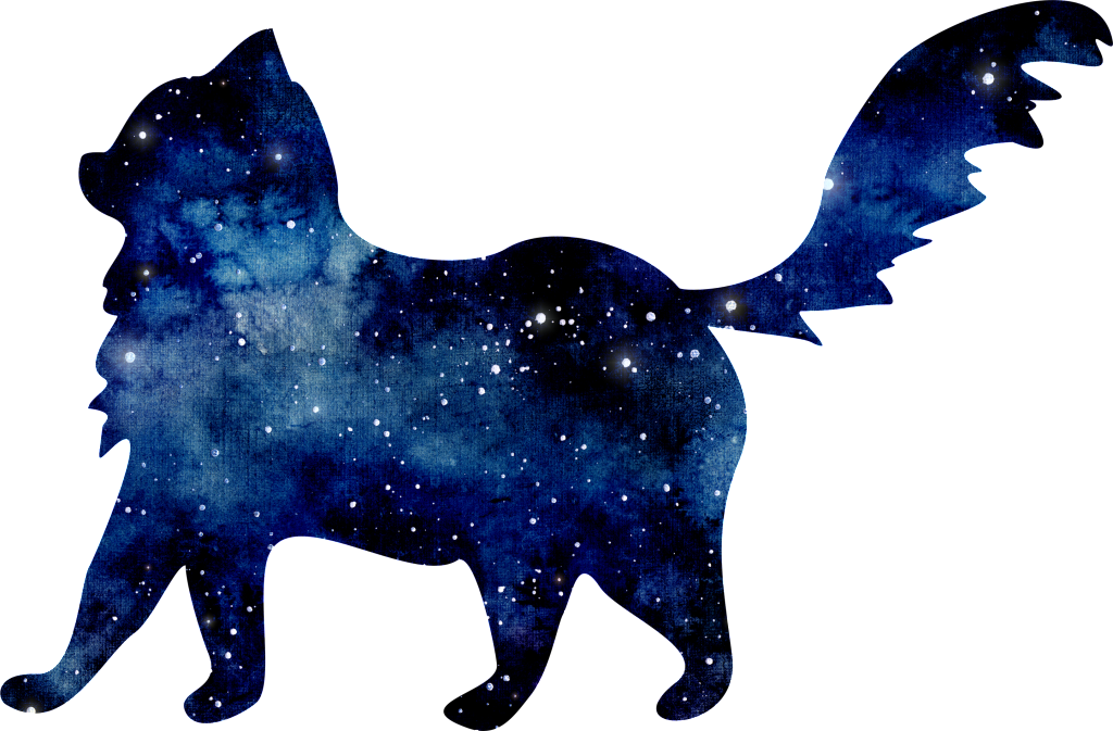 Starry Blue Kitten Png Transparent - Cat (1024x673), Png Download