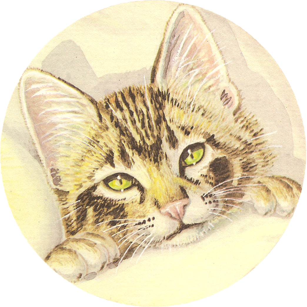 It Is A Children's Book With Some Seriously Cute Pictures - Illustration (1044x1042), Png Download