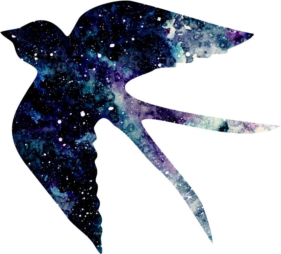Hand Painted Bird Under The Stars Png Transparent - Portable Network Graphics (1024x904), Png Download