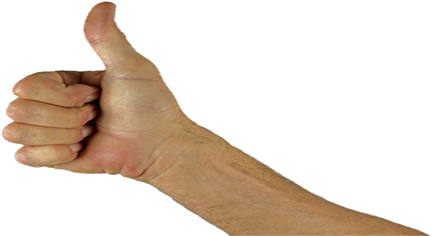 Thumbs Up 1006172 - Thumbs Up Arm Png (728x300), Png Download