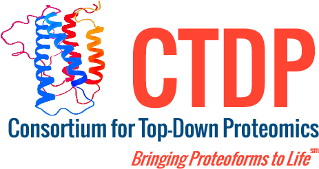 Graphic Design (488x252), Png Download