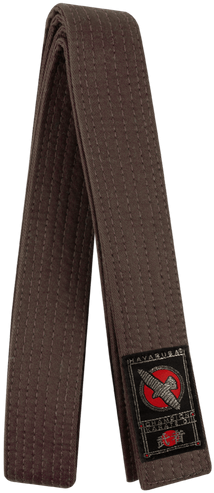 Hayabusa Karate Belt - Brown - Kimono Taekwondo Hkb-br (500x500), Png Download