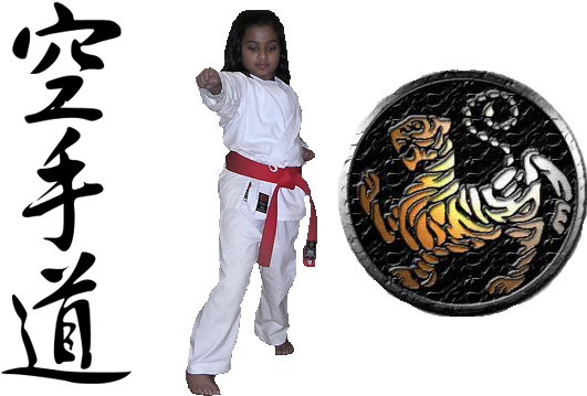 Shotokan Karate 4th Kyu Belt - Shotokan Karate Kanji (600x376), Png Download