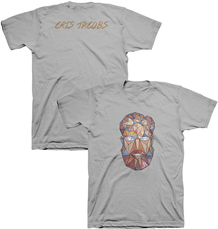Prism Ice Grey T-shirt - Cris Jacobs: Dust To Gold Cd (450x474), Png Download