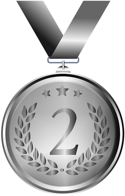Medical Caduceus Png - Medalha Prata Png (515x720), Png Download