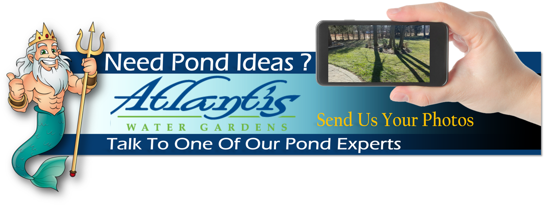 Pondless Waterfalls Portfolio - Electric Blue (1100x426), Png Download