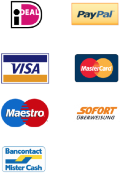 Pay Per Invoice - Malaysia Ecommerce Payment Gateways (422x600), Png Download