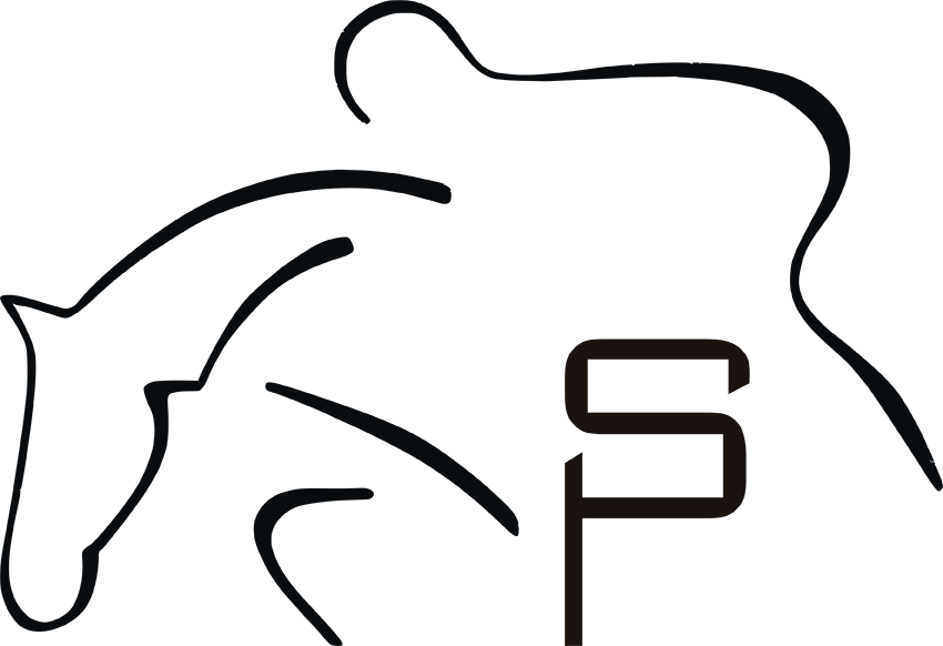 Pius Schwizer (850x582), Png Download