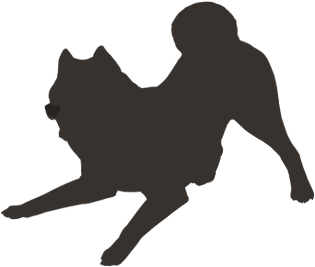Cropped Pit Bull - Shiba Inu Silhouette Transparent (475x538), Png Download