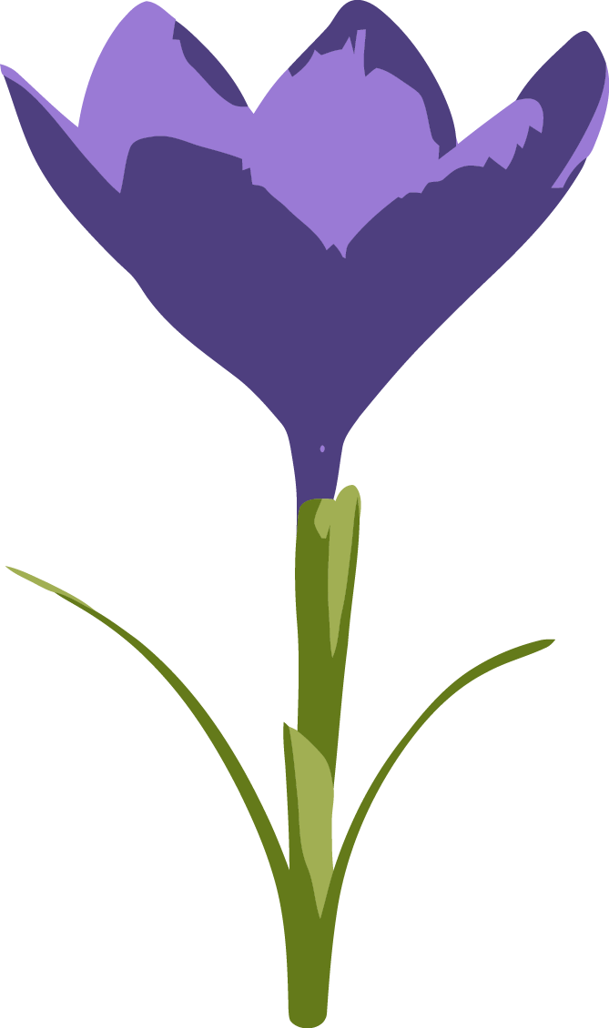 Purple Crocus Flower Png Clip Art - Tulip (669x1130), Png Download