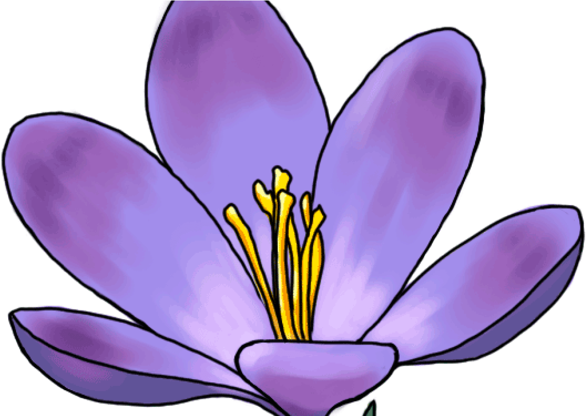 Welcome To Cabin - Drawing (1368x855), Png Download