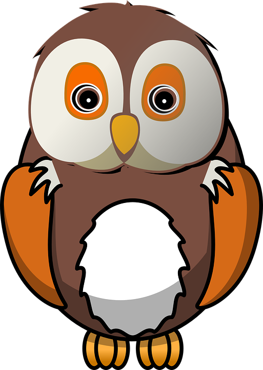 Bird, Owl, Animal, Cute, Nature, Sitting, Waiting - Owl Clipart Png (513x720), Png Download