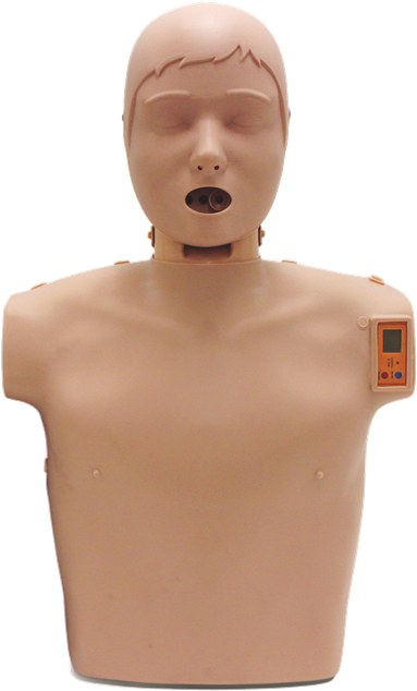 Sunny Cpr Manikin - Flashpoint Medical System Limited (500x709), Png Download