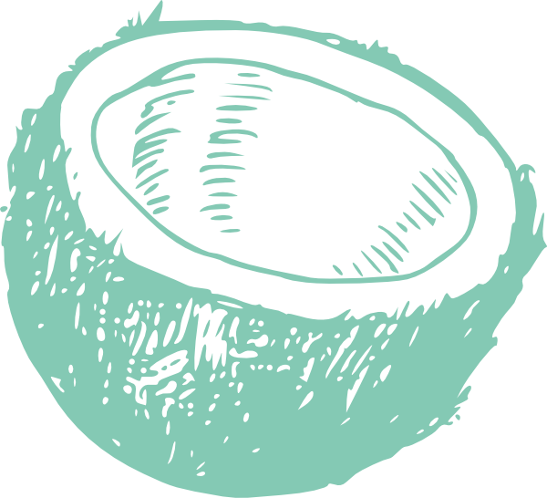 Coconut Line Art Png (600x546), Png Download