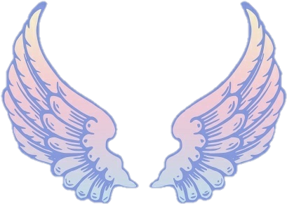 Report Abuse - Cartoon Angel Wings Transparent (446x330), Png Download