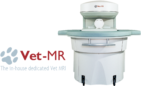 The In The House Dedicated Vet Mri - Vet Mr (495x308), Png Download