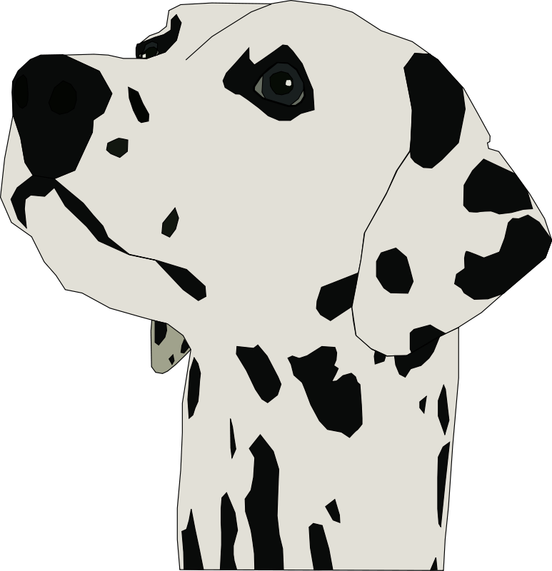 Download Dalmatian Clipart - Dalmatian Dog Throw Blanket (773x800), Png Download
