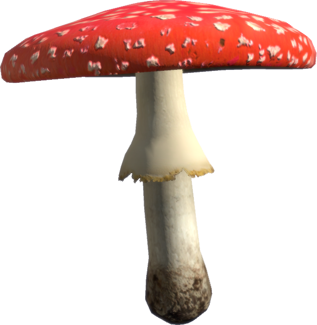 Amanita Png (633x647), Png Download