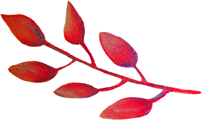 This Backgrounds Is Watercolor Fruit Transparent Decorative - Watercolor Painting (1024x597), Png Download