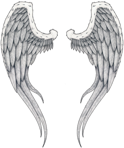 Angel Wing - Angel Wings Tattoo Transparent (450x533), Png Download