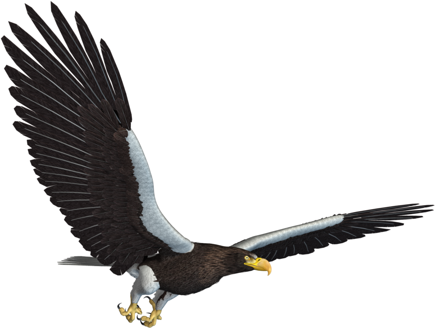 Eagle Png - Flying Eagle Jpg (1024x768), Png Download