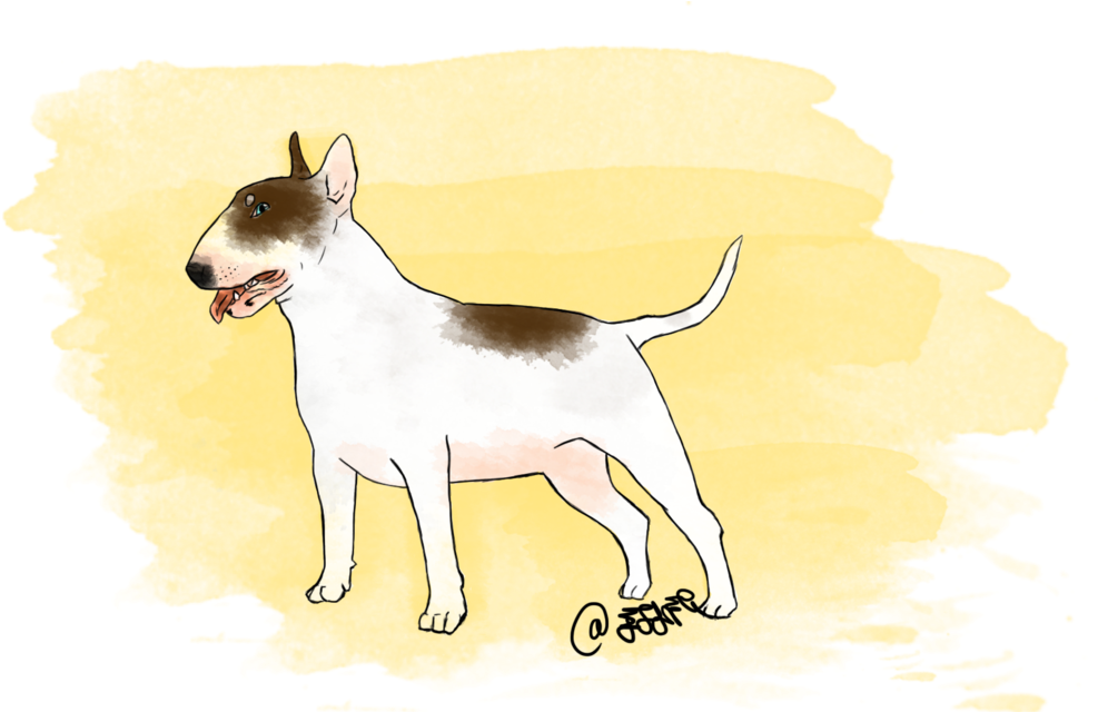 Terrier Drawing Watercolor - Watercolor Painting (1024x639), Png Download