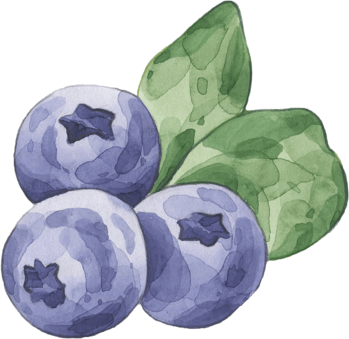 Beverly Swerling-living The Writing Lifeliving The - Watercolor Painting (1318x1248), Png Download