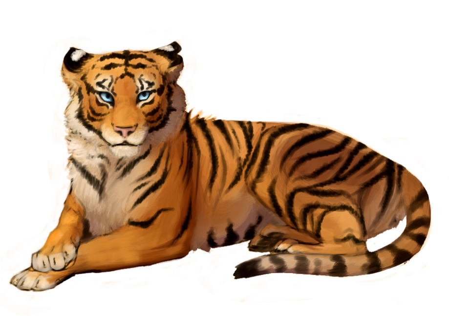 Png Tiger Clipart Photo Transparent - Tiger Clipart Png (966x828), Png Download