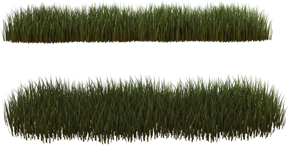Download Hd Dry Grass Clipart Desert Plant Png Grass Clump Transparent Png Image Nicepng Com