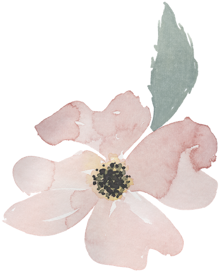 Once My Children Were Born, I Always Had My Camera - Artificial Flower (500x552), Png Download