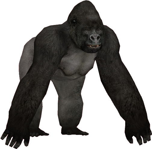 Gorillamjh - Wiki (519x519), Png Download