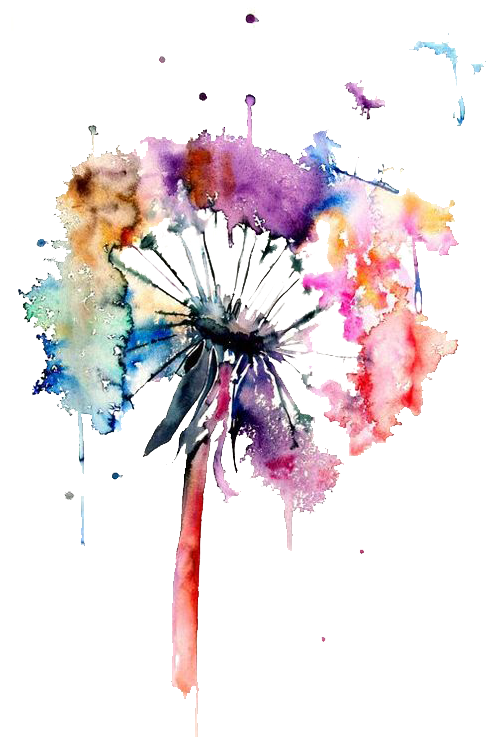 Watercolor Painting Drawing Art - Watercolor Dandelion (564x797), Png Download