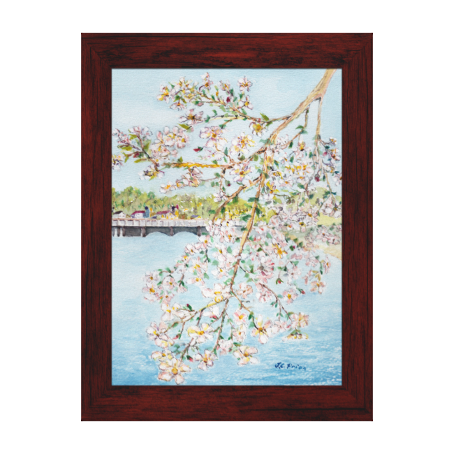 Washington Dc Cherry Blossoms Watercolor Painting Gallery - Watercolor Painting (650x650), Png Download