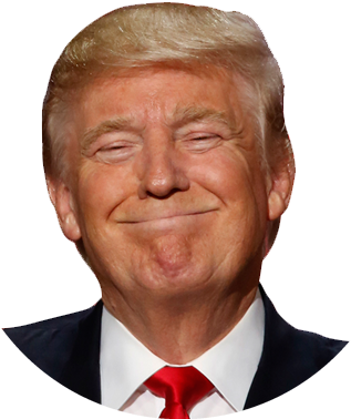 Download Trump Png - Trump Face Trump Transparent Background - HD