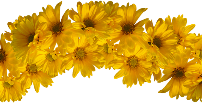 Flower Crown Png Transparent Svg Black And White Download - Yellow Flower Crown Transparent (678x600), Png Download