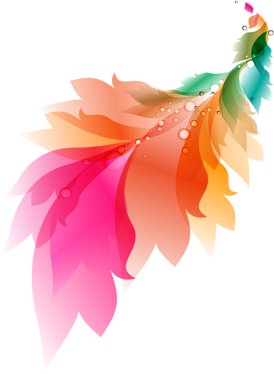 Picture Royalty Free Stock Painting Feather Phoenix - Colorful Feathers Vector Png (800x800), Png Download