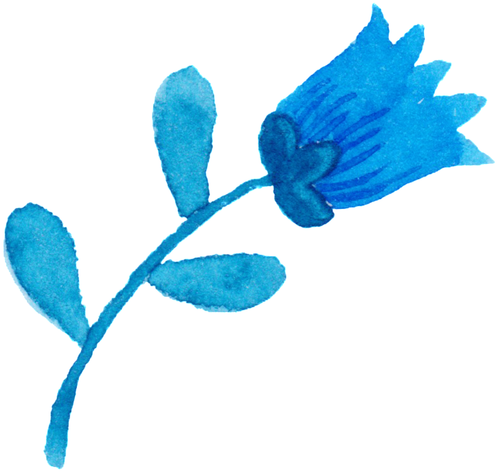 Bright Watercolor Hand Painted Flowers Decorative - Watercolor Painting (1024x969), Png Download
